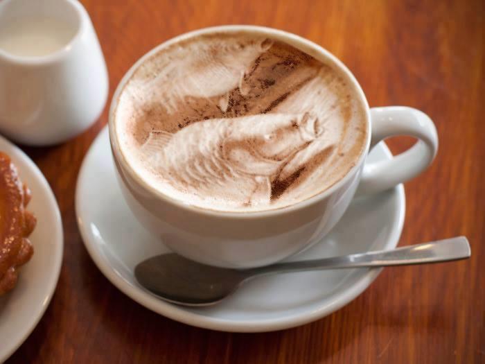 Pasiune pt pescuit - 10012135902036576942021706346191n.jpg